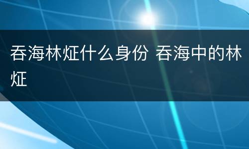 吞海林炡什么身份 吞海中的林炡