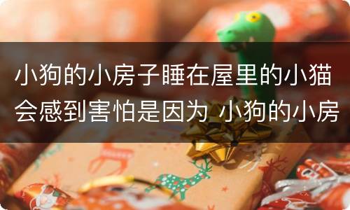 小狗的小房子睡在屋里的小猫会感到害怕是因为 小狗的小房子睡在屋里的小猫会感到害怕为什么