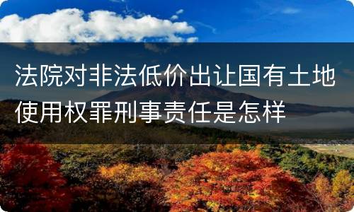 法院对非法低价出让国有土地使用权罪刑事责任是怎样