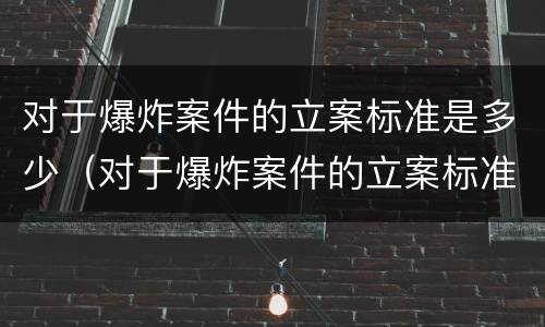 对于爆炸案件的立案标准是多少（对于爆炸案件的立案标准是多少条）