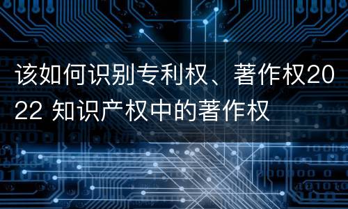 该如何识别专利权、著作权2022 知识产权中的著作权