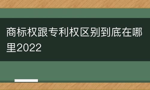 商标权跟专利权区别到底在哪里2022