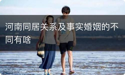 河南同居关系及事实婚姻的不同有啥