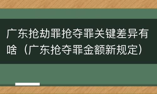 广东抢劫罪抢夺罪关键差异有啥（广东抢夺罪金额新规定）