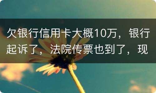 欠银行信用卡大概10万，银行起诉了，法院传票也到了，现在还不起