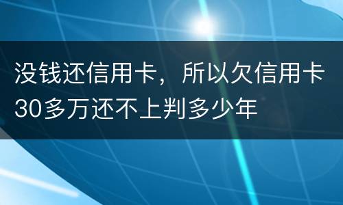 没钱还信用卡，所以欠信用卡30多万还不上判多少年