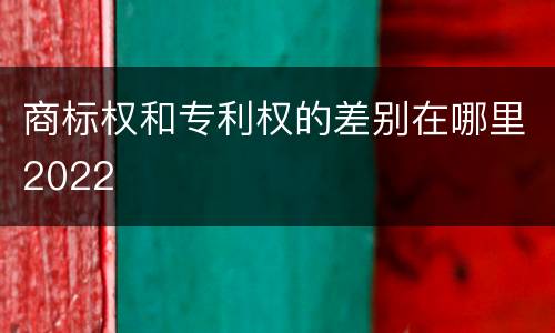 商标权和专利权的差别在哪里2022