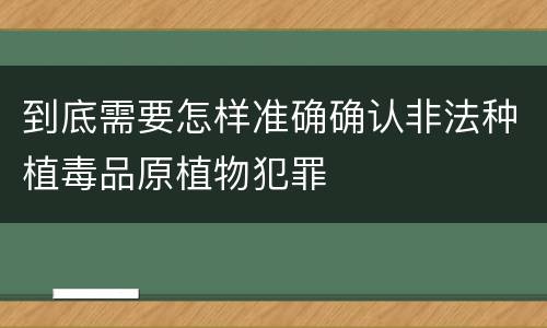 到底需要怎样准确确认非法种植毒品原植物犯罪