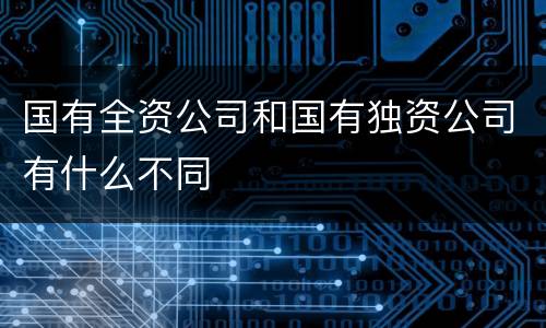 国有全资公司和国有独资公司有什么不同