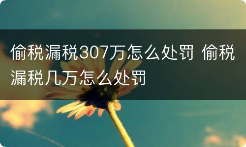 偷税漏税307万怎么处罚 偷税漏税几万怎么处罚