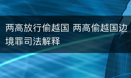 两高放行偷越国 两高偷越国边境罪司法解释