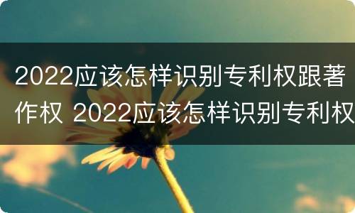 2022应该怎样识别专利权跟著作权 2022应该怎样识别专利权跟著作权呢