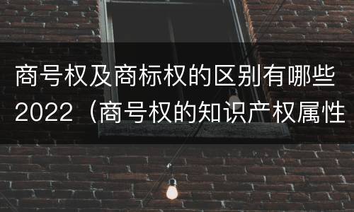 商号权及商标权的区别有哪些2022（商号权的知识产权属性）