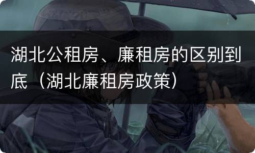 湖北公租房、廉租房的区别到底（湖北廉租房政策）