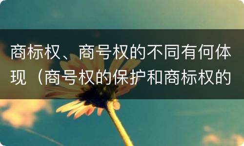 商标权、商号权的不同有何体现（商号权的保护和商标权的保护一样是全国性范围的）