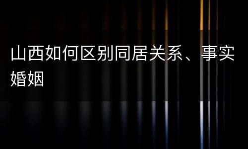 山西如何区别同居关系、事实婚姻