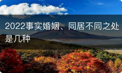 2022事实婚姻、同居不同之处是几种