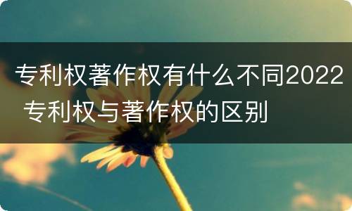 专利权著作权有什么不同2022 专利权与著作权的区别