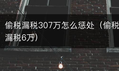 偷税漏税307万怎么惩处（偷税漏税6万）