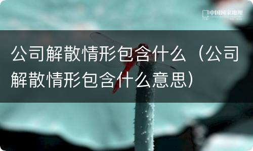 公司解散情形包含什么（公司解散情形包含什么意思）