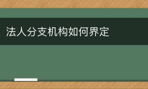 法人分支机构如何界定