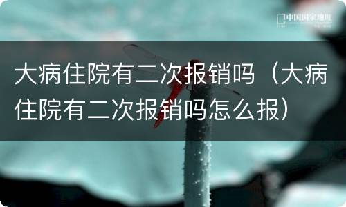 大病住院有二次报销吗（大病住院有二次报销吗怎么报）