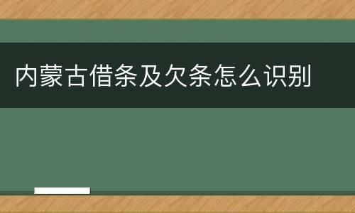 内蒙古借条及欠条怎么识别