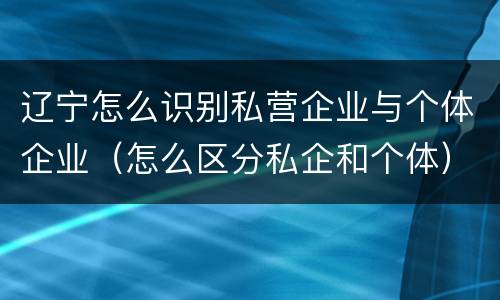 辽宁怎么识别私营企业与个体企业（怎么区分私企和个体）