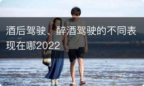 酒后驾驶、醉酒驾驶的不同表现在哪2022