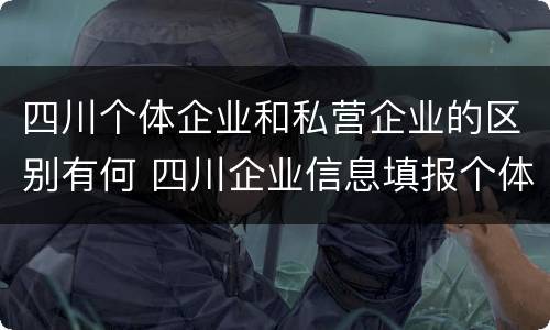 四川个体企业和私营企业的区别有何 四川企业信息填报个体户