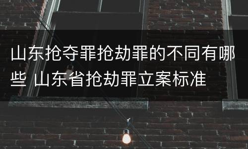 山东抢夺罪抢劫罪的不同有哪些 山东省抢劫罪立案标准