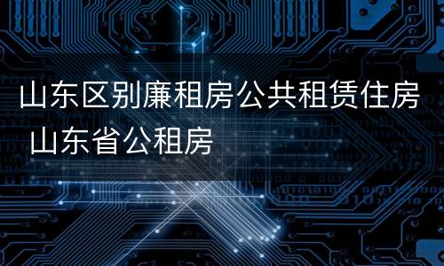 山东区别廉租房公共租赁住房 山东省公租房