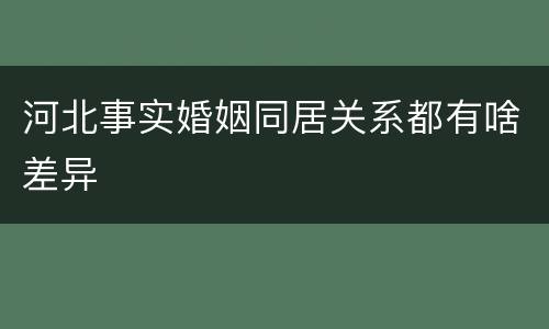 河北事实婚姻同居关系都有啥差异