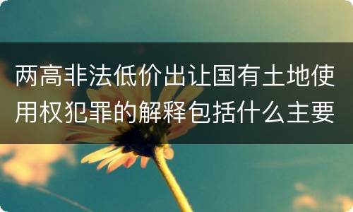 两高非法低价出让国有土地使用权犯罪的解释包括什么主要内容