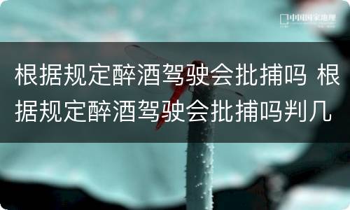 根据规定醉酒驾驶会批捕吗 根据规定醉酒驾驶会批捕吗判几年