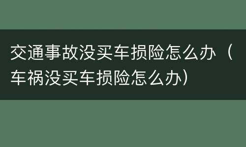 交通事故没买车损险怎么办（车祸没买车损险怎么办）